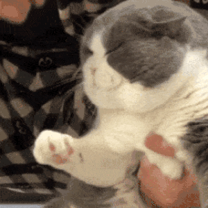 9054_lndx_5374.gif